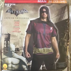 Batman Robin costume